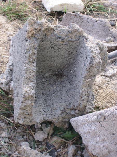 Je n'�tais pas seule