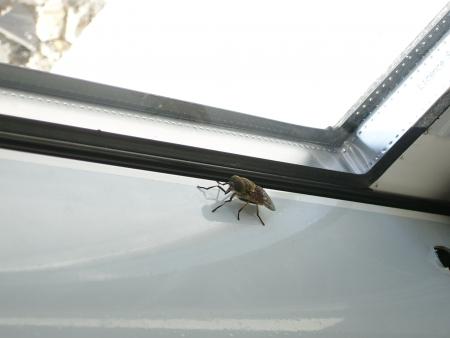 Journ�e du mercredi 06 ao�t